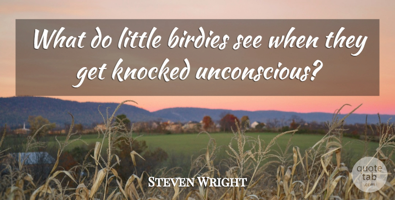 Steven Wright Quote About Funny, Humor, Littles: What Do Little Birdies See...