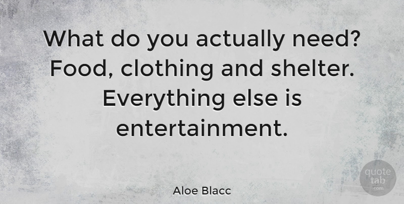 Aloe Blacc Quote About Shelter, Entertainment, Needs: What Do You Actually Need...