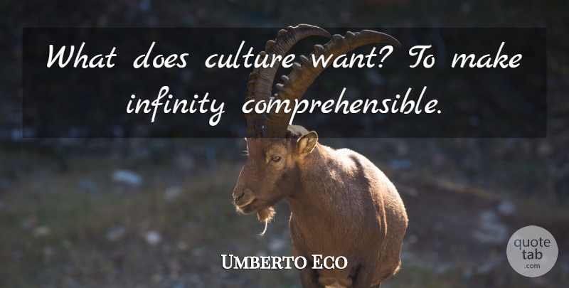 Umberto Eco Quote About Want, Infinity, Doe: What Does Culture Want To...