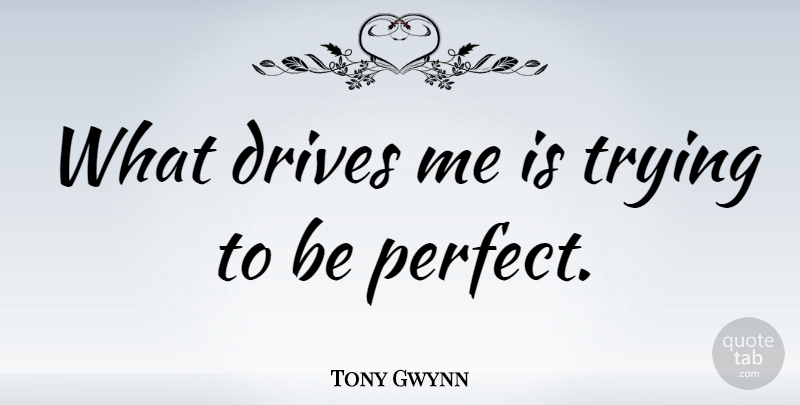 Tony Gwynn Quote About Trying: What Drives Me Is Trying...