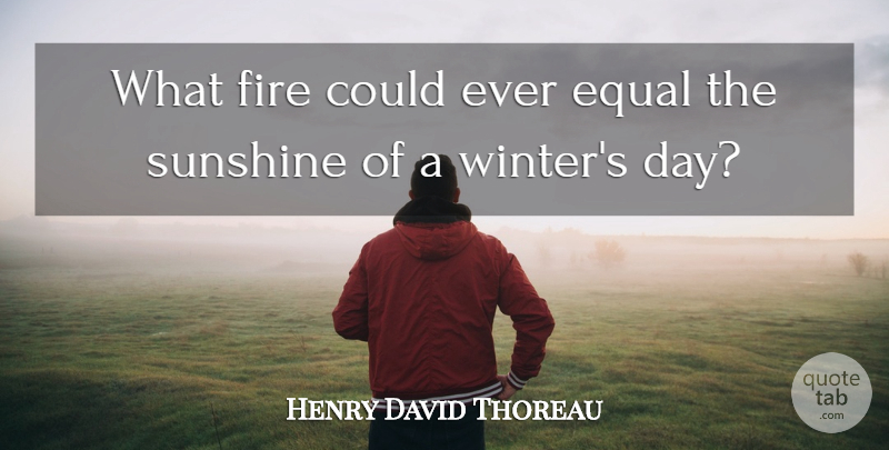 Henry David Thoreau Quote About Winter, Sunshine, Fire: What Fire Could Ever Equal...
