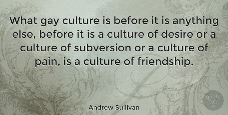 Andrew Sullivan Quote About Pain, Gay, Desire: What Gay Culture Is Before...