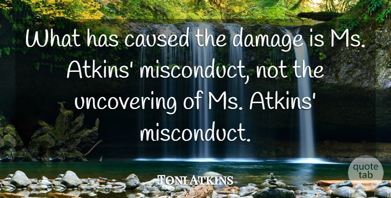 Toni Atkins Quote About Caused, Damage: What Has Caused The Damage...