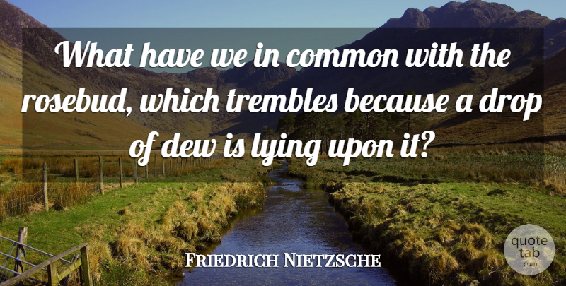 Friedrich Nietzsche Quote About Lying, Dew, Common: What Have We In Common...