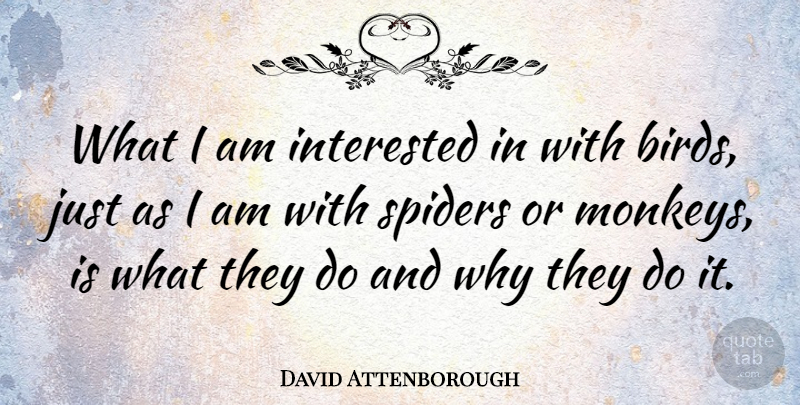 David Attenborough Quote About Bird, Spiders, Monkeys: What I Am Interested In...