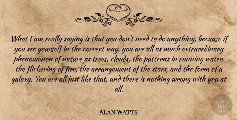 Alan Watts Quote About Inspiring, Running, Stars: What I Am Really Saying...