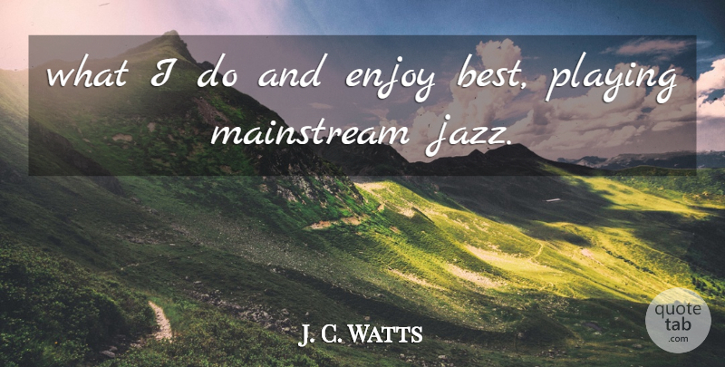 J. C. Watts Quote About Enjoy, Mainstream, Playing: What I Do And Enjoy...