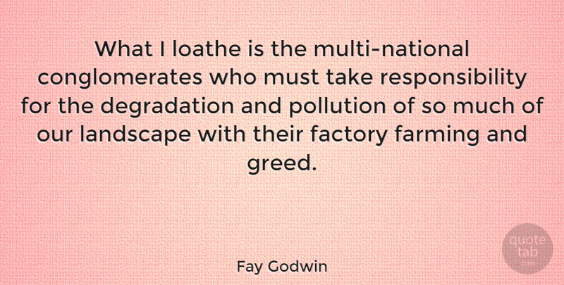 Fay Godwin Quote About Responsibility, Aggravation, Greed: What I Loathe Is The...