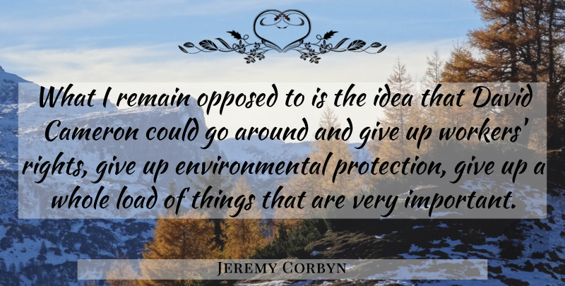 Jeremy Corbyn Quote About Cameron, David, Environmental, Opposed, Remain: What I Remain Opposed To...
