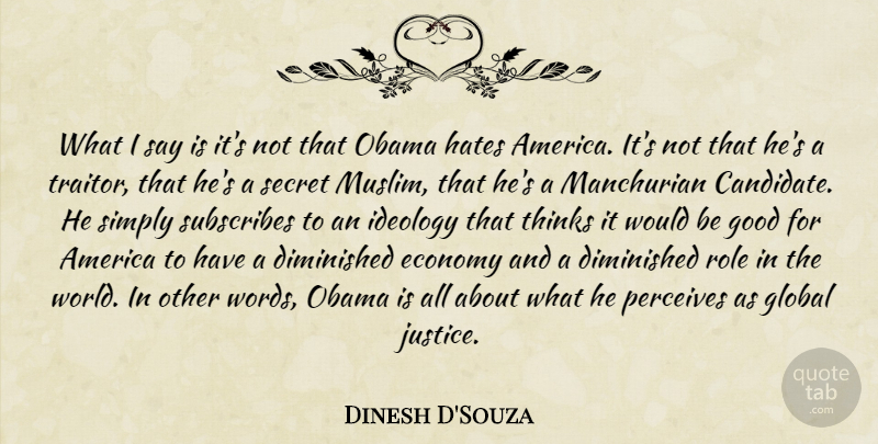 Dinesh D'Souza Quote About Hate, Thinking, America: What I Say Is Its...