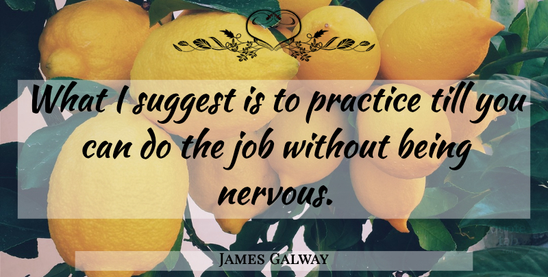 James Galway Quote About Job, Practice, Suggest, Till: What I Suggest Is To...