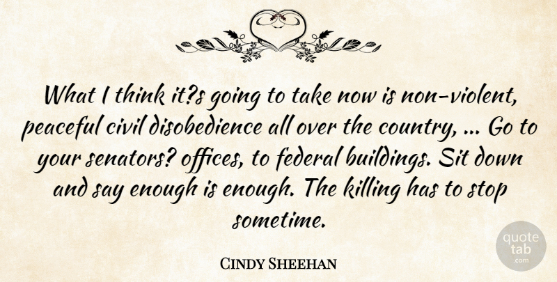 Cindy Sheehan Quote About Civil, Federal, Peaceful, Sit, Stop: What I Think Its Going...