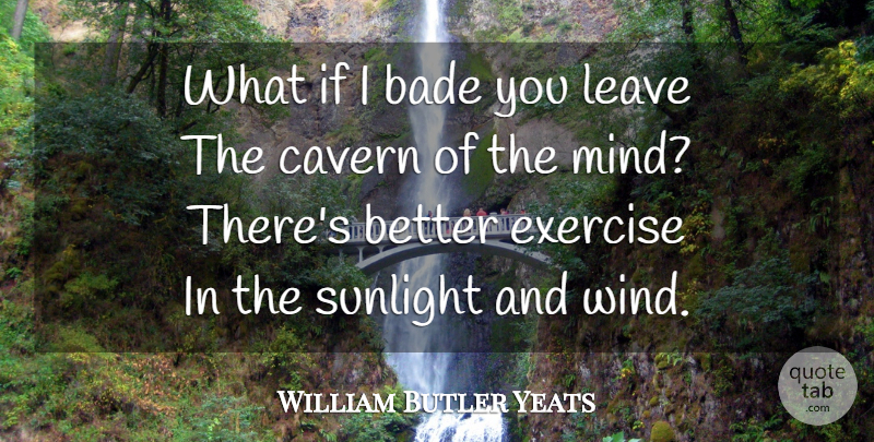 William Butler Yeats Quote About Exercise, Wind, Mind: What If I Bade You...