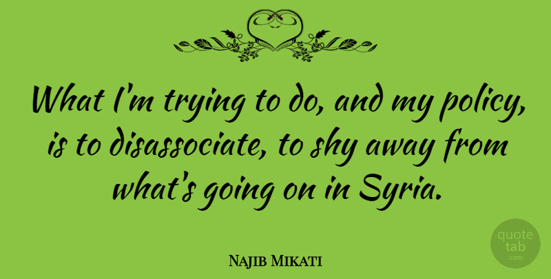 Najib Mikati Quote About Trying: What Im Trying To Do...
