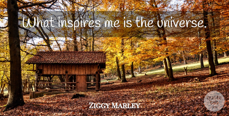 Ziggy Marley Quote About Inspire, Universe: What Inspires Me Is The...