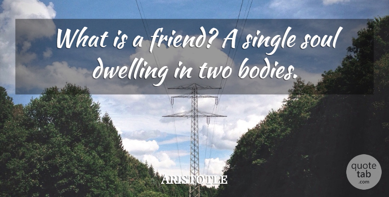 Aristotle Quote About Dwelling, Greek Philosopher, Single, Soul: What Is A Friend A...