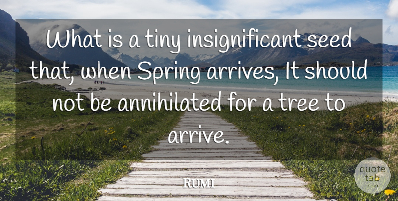 Rumi Quote About Spring, Tree, Tiny: What Is A Tiny Insignificant...
