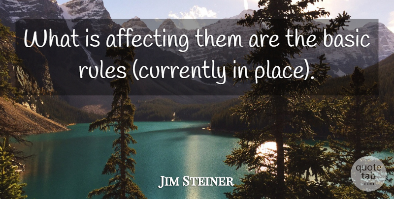 Jim Steiner Quote About Affecting, Basic, Rules: What Is Affecting Them Are...