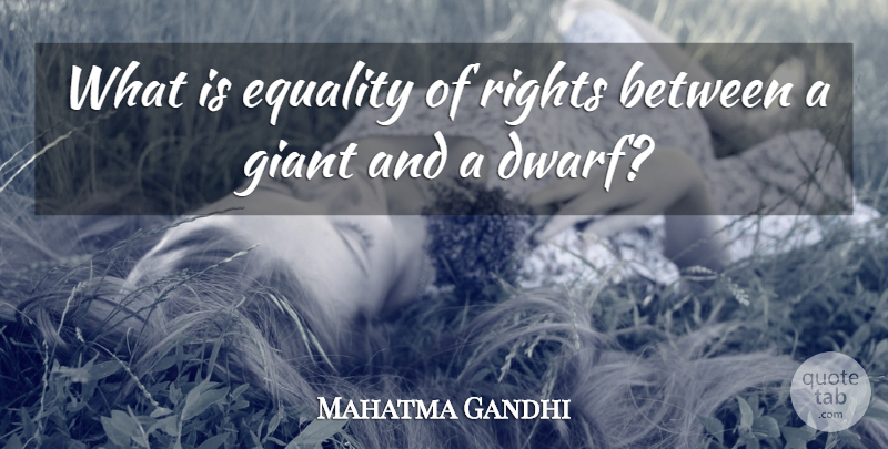 Mahatma Gandhi Quote About Equality, Rights, Dwarves: What Is Equality Of Rights...