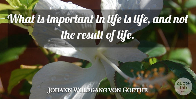 Johann Wolfgang von Goethe Quote About Life, Contentment, Important: What Is Important In Life...