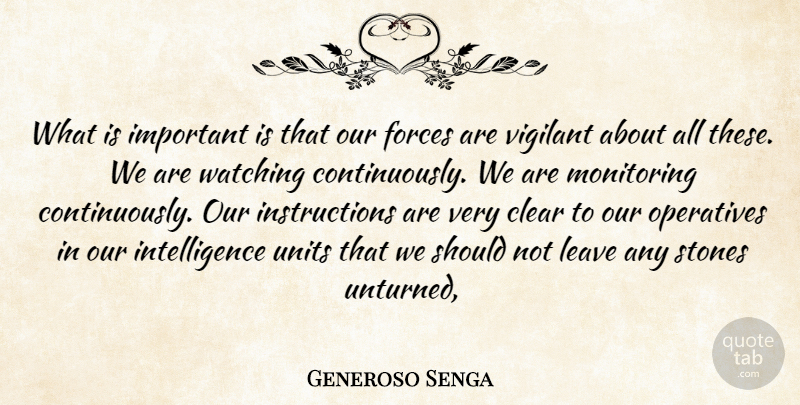 Generoso Senga Quote About Clear, Forces, Intelligence, Leave, Stones: What Is Important Is That...
