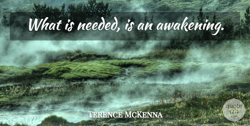 Terence McKenna Quote About Awakening, Needed: What Is Needed Is An...
