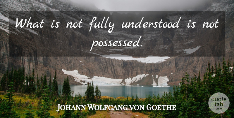 Johann Wolfgang von Goethe Quote About Knowledge, Understood, Possessed: What Is Not Fully Understood...