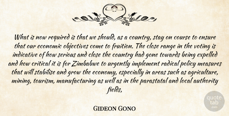 Gideon Gono Quote About Areas, Authority, Close, Country, Course: What Is Now Required Is...
