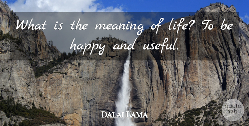 Dalai Lama Quote About Meaning Of Life, Spirituality, Useful Life: What Is The Meaning Of...