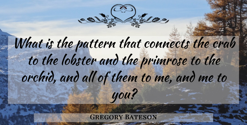 Gregory Bateson Quote About Orchids, Patterns, Lobster: What Is The Pattern That...