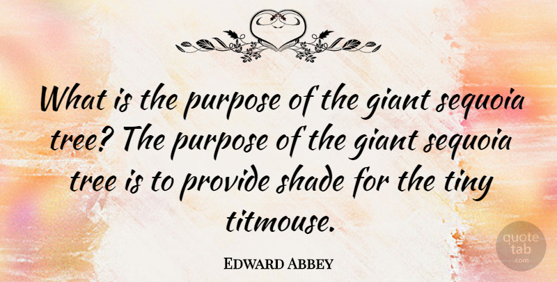 Edward Abbey Quote About Inspirational, Tree, Shade: What Is The Purpose Of...