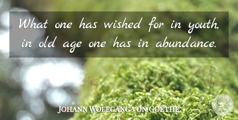 Johann Wolfgang von Goethe Quote About Age, Youth, Abundance: What One Has Wished For...