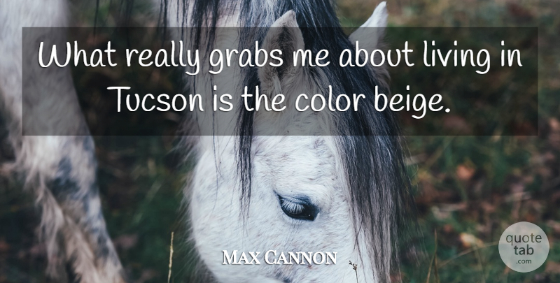 Max Cannon Quote About American Artist, Color, Living: What Really Grabs Me About...