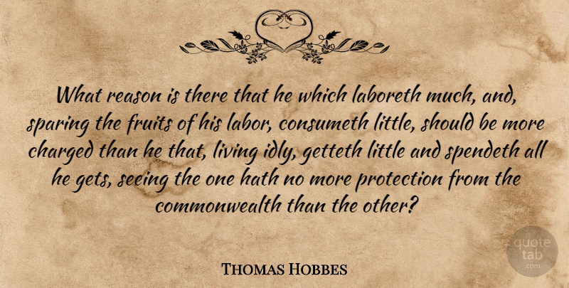 Thomas Hobbes Quote About Liberty, Littles, Fruit: What Reason Is There That...