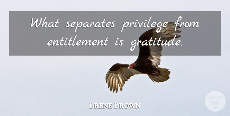 Brene Brown Quote About Gratitude, Thankfulness, Privilege: What Separates Privilege From Entitlement...