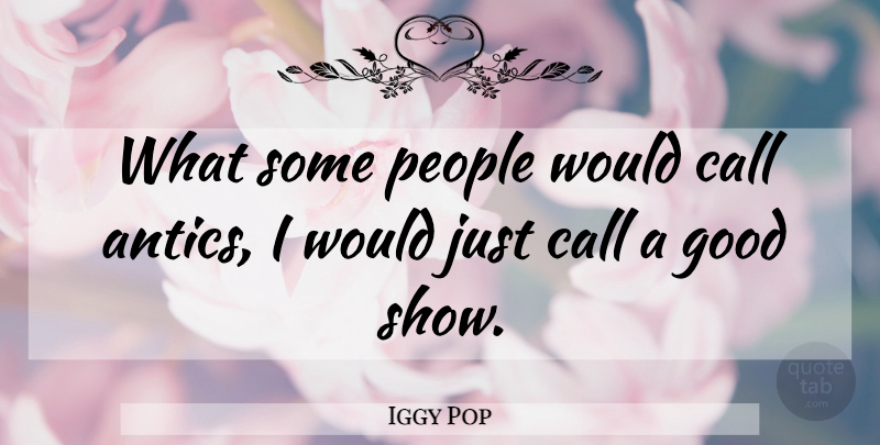 Iggy Pop Quote About People, Antics, Shows: What Some People Would Call...