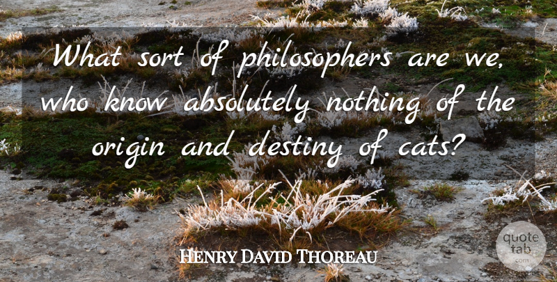 Henry David Thoreau Quote About Cat, Destiny, Philosopher: What Sort Of Philosophers Are...