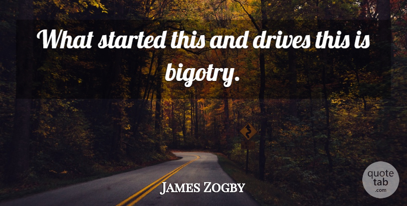 James Zogby Quote About Drives: What Started This And Drives...