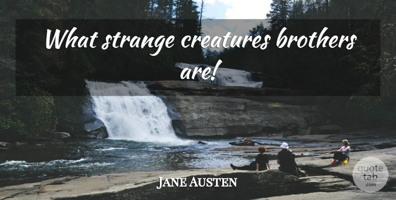 Jane Austen Quote About Brother, Strange, Creatures: What Strange Creatures Brothers Are...