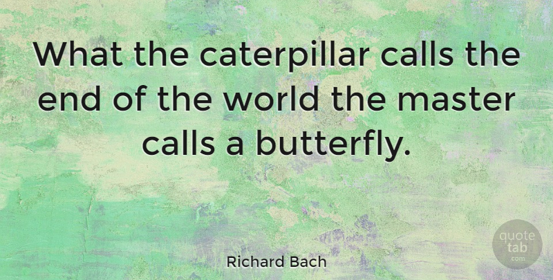 Richard Bach Quote About Inspirational, Change, Inspiring: What The Caterpillar Calls The...