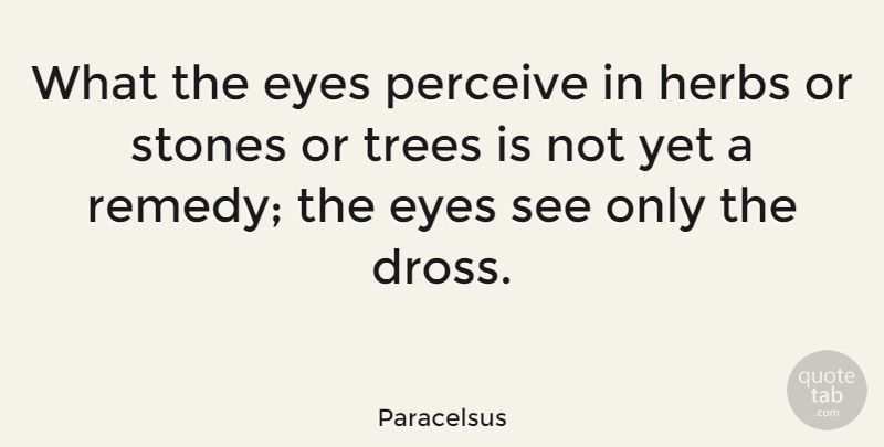 Paracelsus Quote About Eye, Tree, Stones: What The Eyes Perceive In...