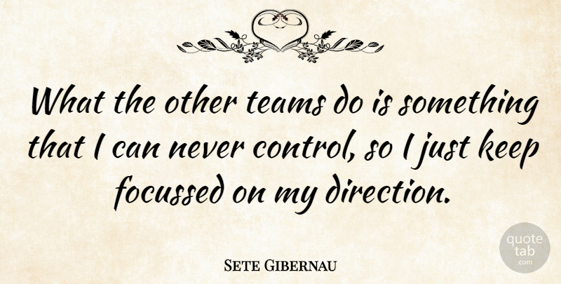 Sete Gibernau Quote About Team, I Can: What The Other Teams Do...