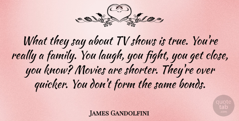 James Gandolfini Quote About Fighting, Tv Shows, Laughing: What They Say About Tv...