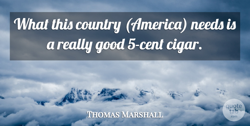 Thomas Marshall Quote About Country, Good, Needs: What This Country America Needs...