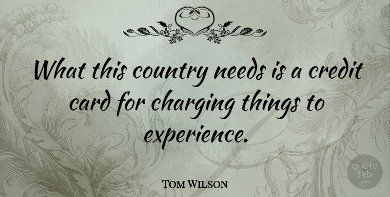 Tom Wilson Quote About Country, Funny Things, Experience: What This Country Needs Is...