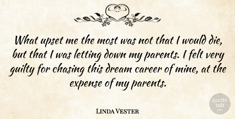 Linda Vester Quote About American Entertainer, Chasing, Expense, Felt, Guilty: What Upset Me The Most...