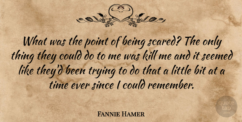 Fannie Hamer Quote About Bit, Point, Seemed, Since, Time: What Was The Point Of...