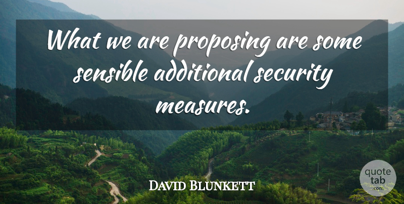 David Blunkett Quote About Additional, Proposing, Security, Sensible: What We Are Proposing Are...