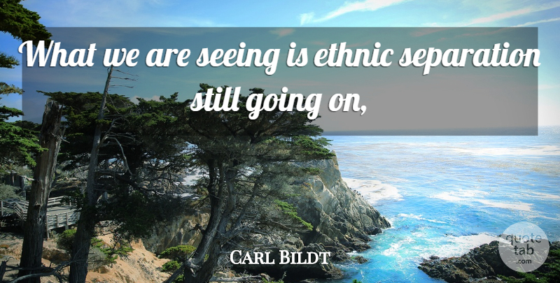 Carl Bildt Quote About Ethnic, Seeing, Separation: What We Are Seeing Is...