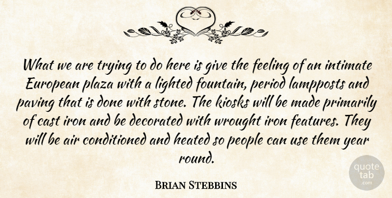 Brian Stebbins Quote About Air, Cast, European, Feeling, Intimate: What We Are Trying To...